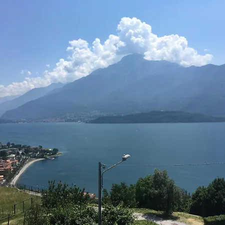 Panoramic View