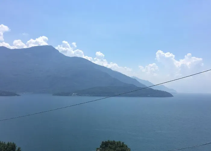 Panoramic View