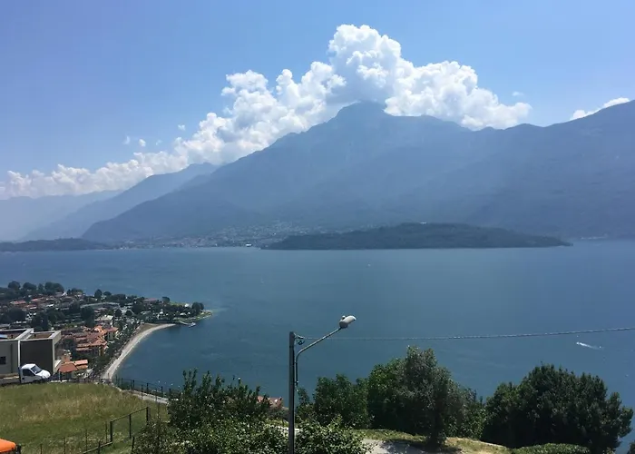 Panoramic View